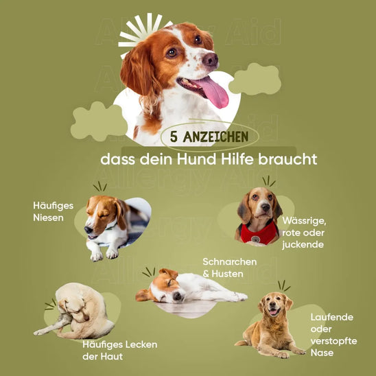 allergy-aid-tab-de-4
