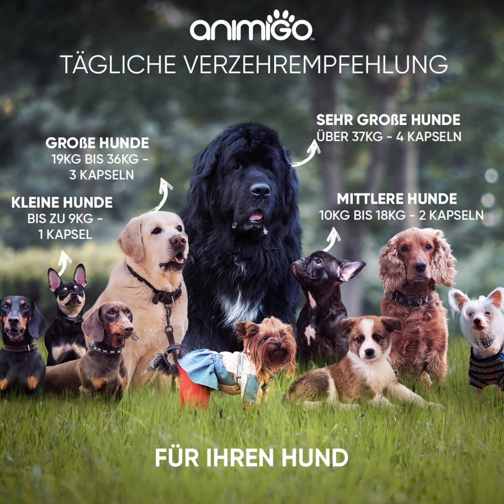 animigo-calming-aid-de-05.jpg