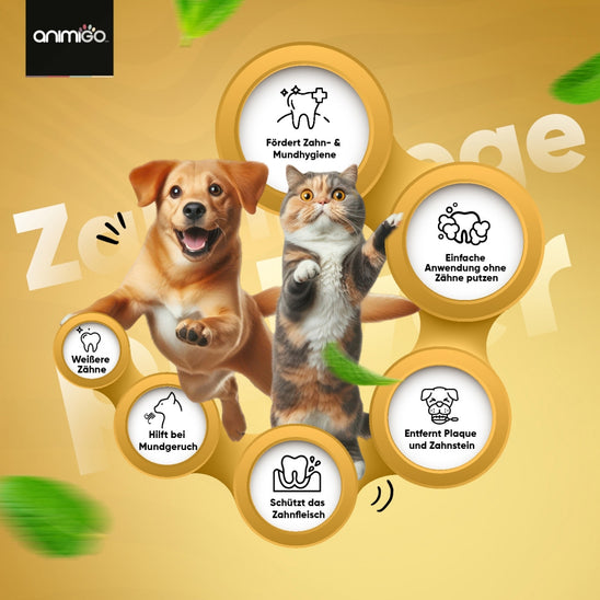 denti-care-powder-animigo-de-02