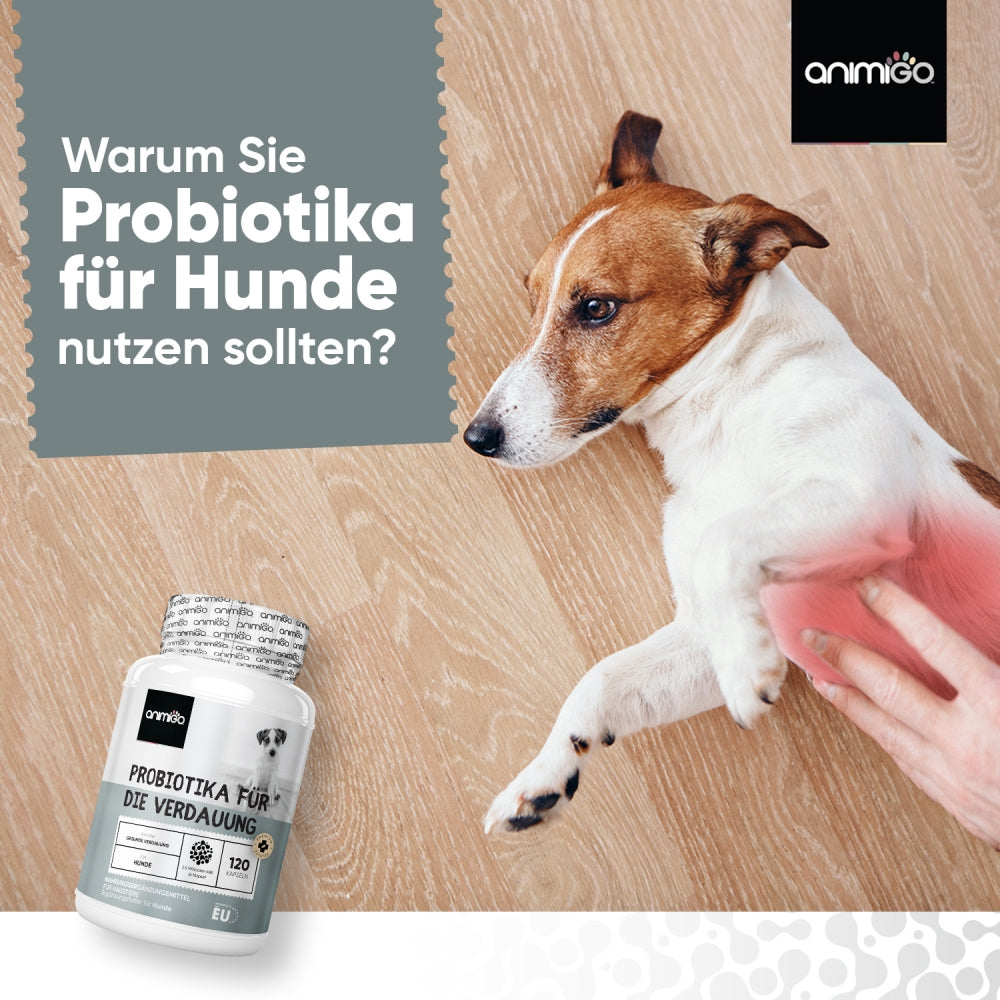 digestive-probiotic-capsules-ani-de-0