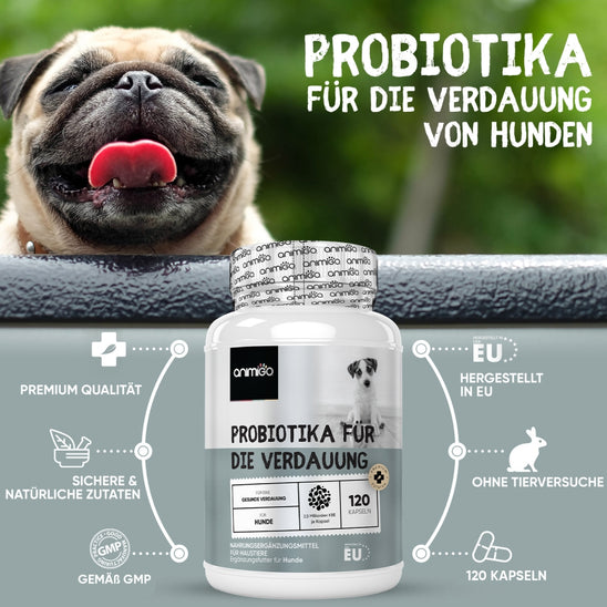 digestive-probiotic-capsules-ani-de-02