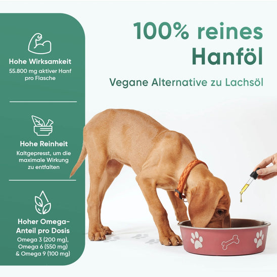 100% reines Hanföl für Hunde und Katzen