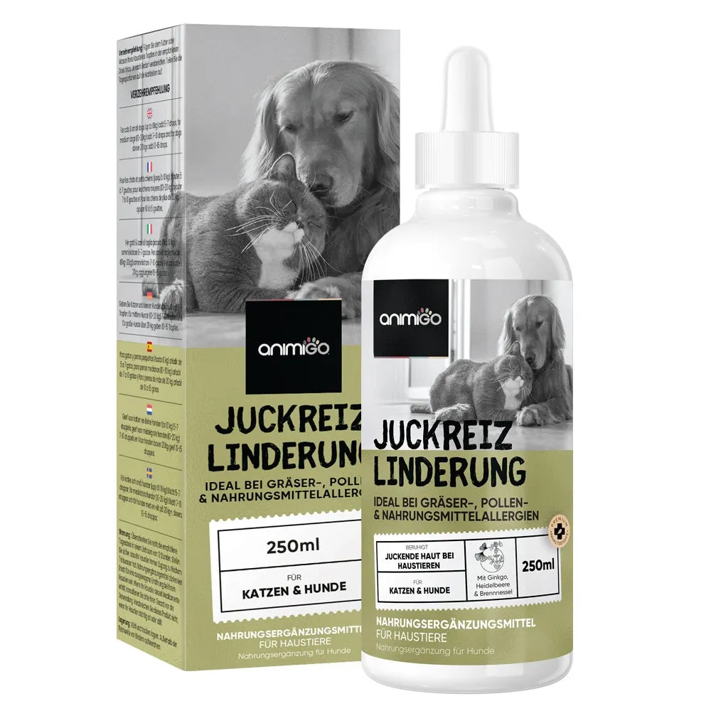 hunde juckreiz lindern