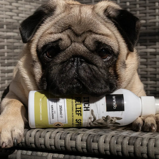 itch-relief-spray-de-ugc