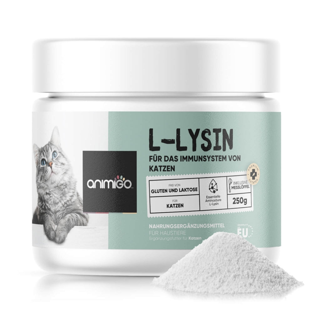 l-lysine-powder-250g-de-front