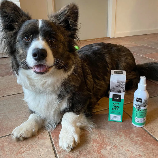 Anti Kratzen und Kauen Spray für Katzen und Hunde
