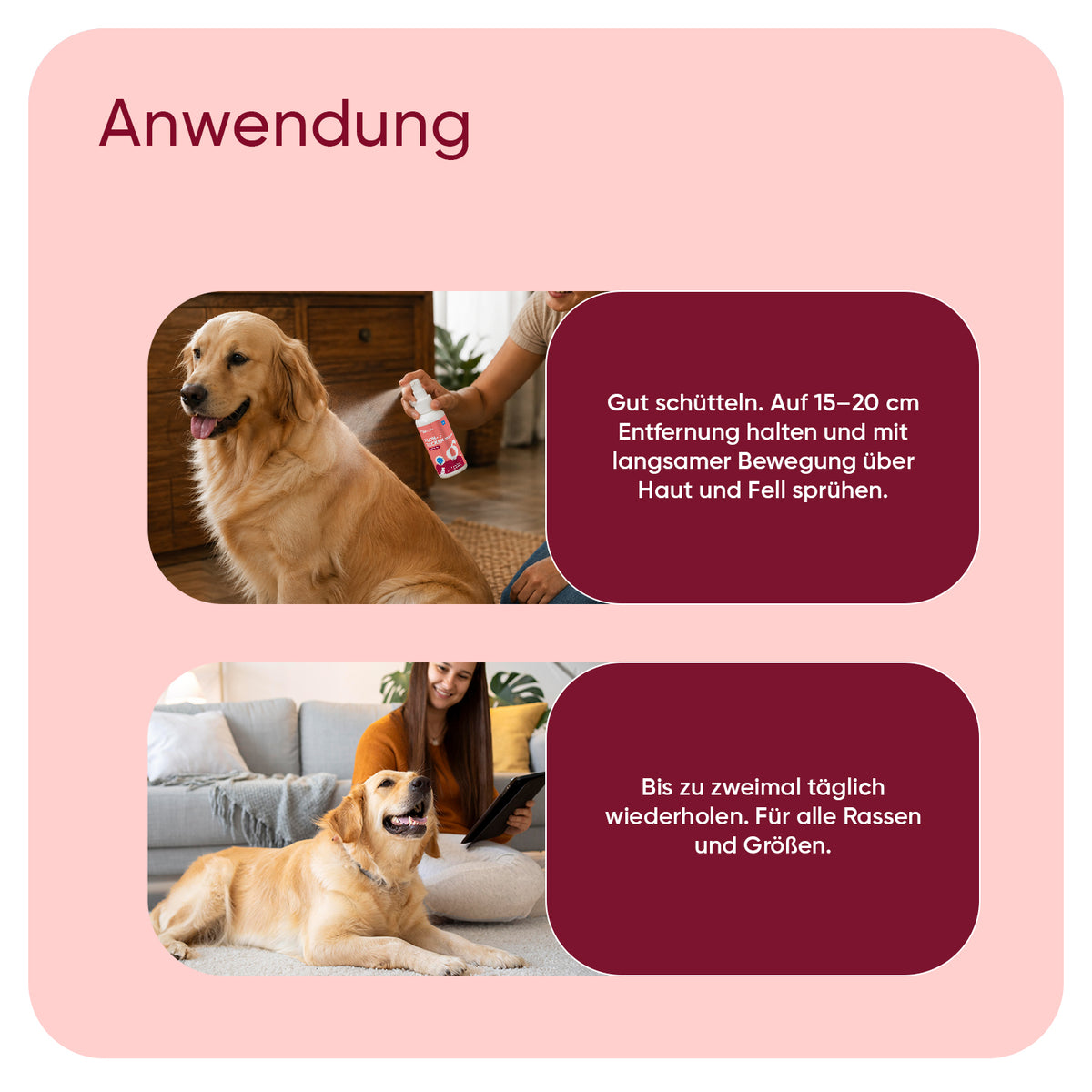 Floh- und Zeckenschutz-Spray für Hunde, 500 ml