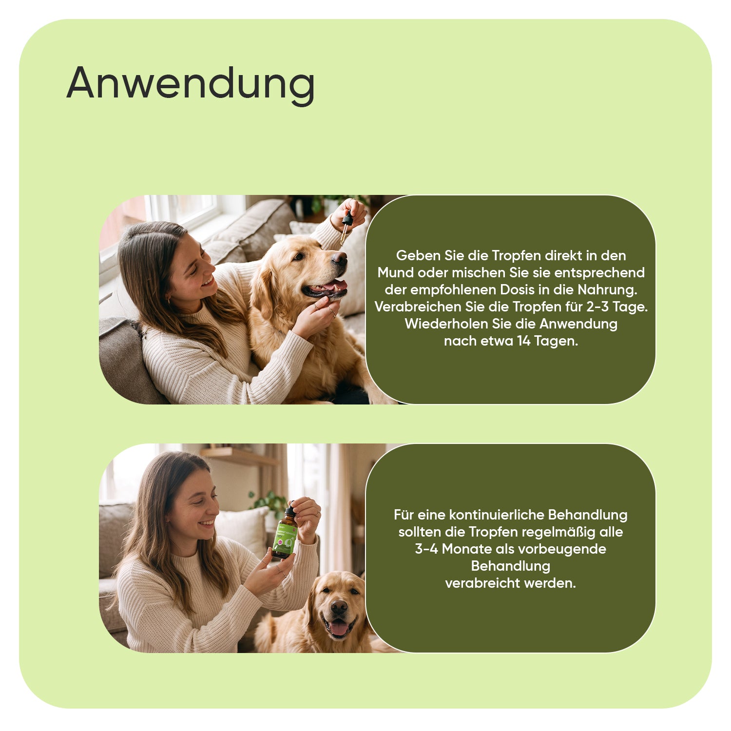 Wermut Advanced Flüssigkeit für Hunde 120 ml