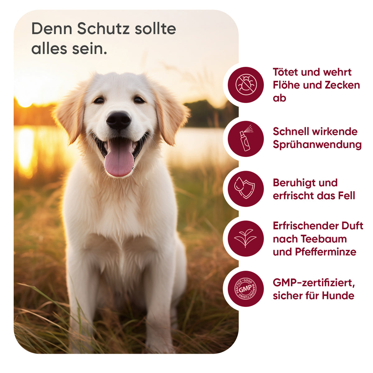 Floh- und Zeckenschutz-Spray für Hunde, 500 ml