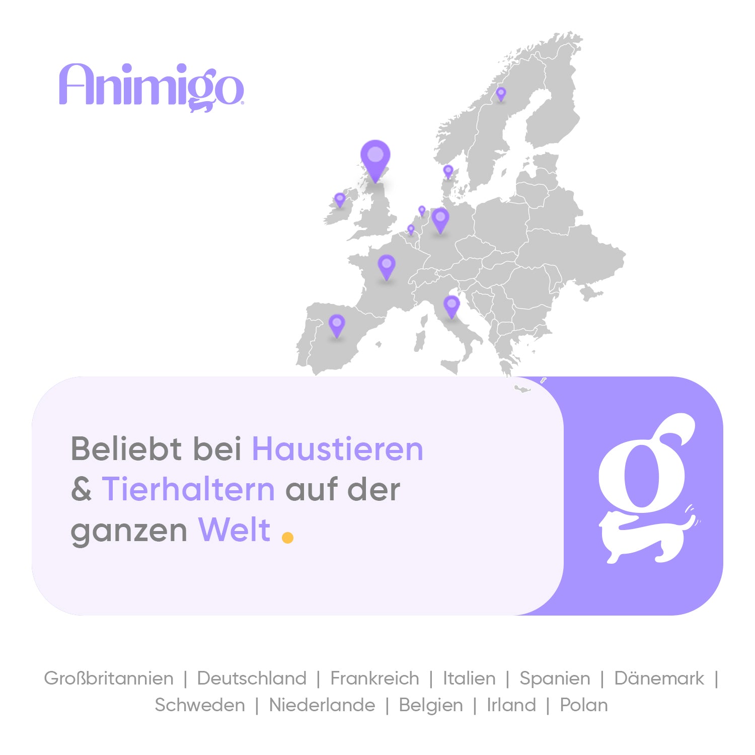 Wermut Advanced Flüssigkeit für Hunde 120 ml