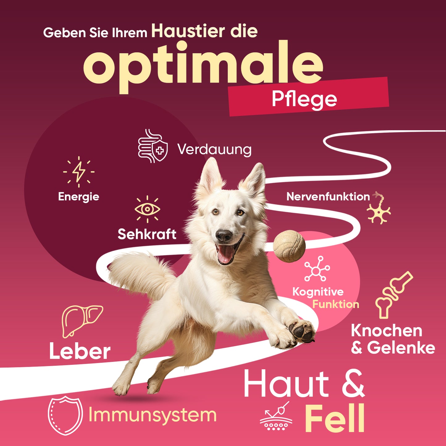 Multivitamine & Mineralstoffe für Hunde und Katzen