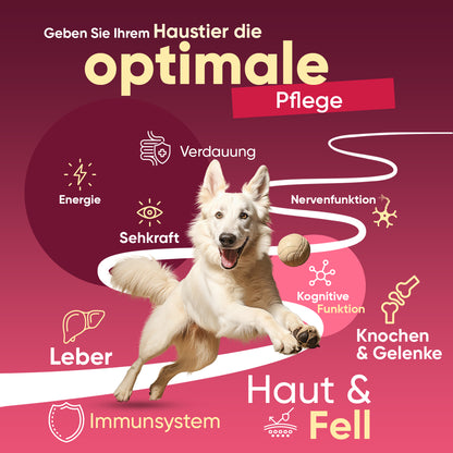 Multivitamine & Mineralstoffe für Hunde und Katzen
