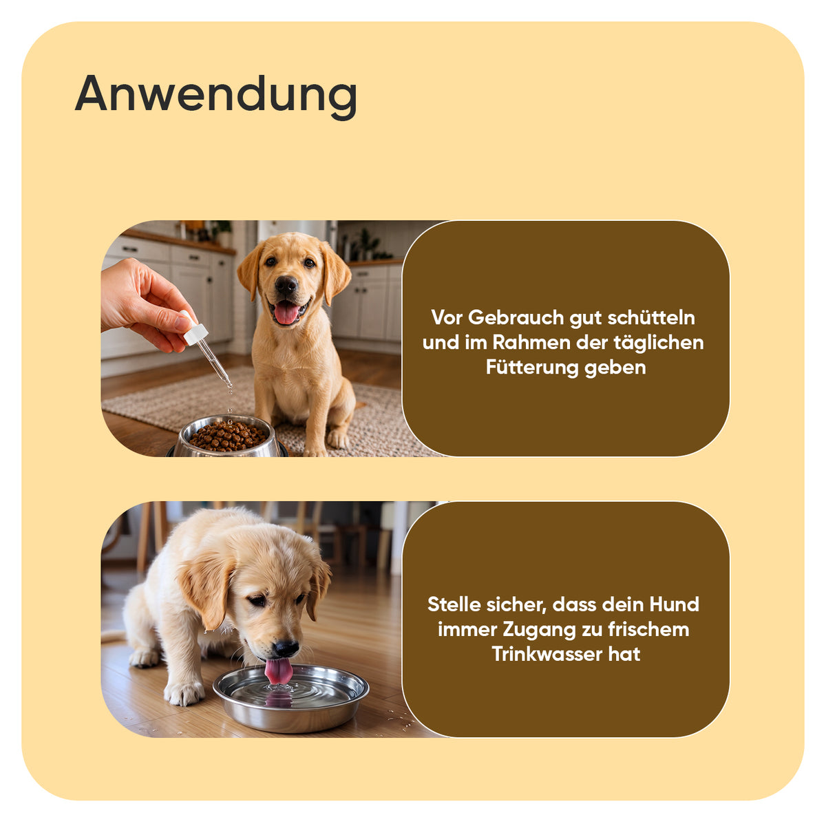 Juckreiz Linderung für Hunde 250 ml Flüssigkeit