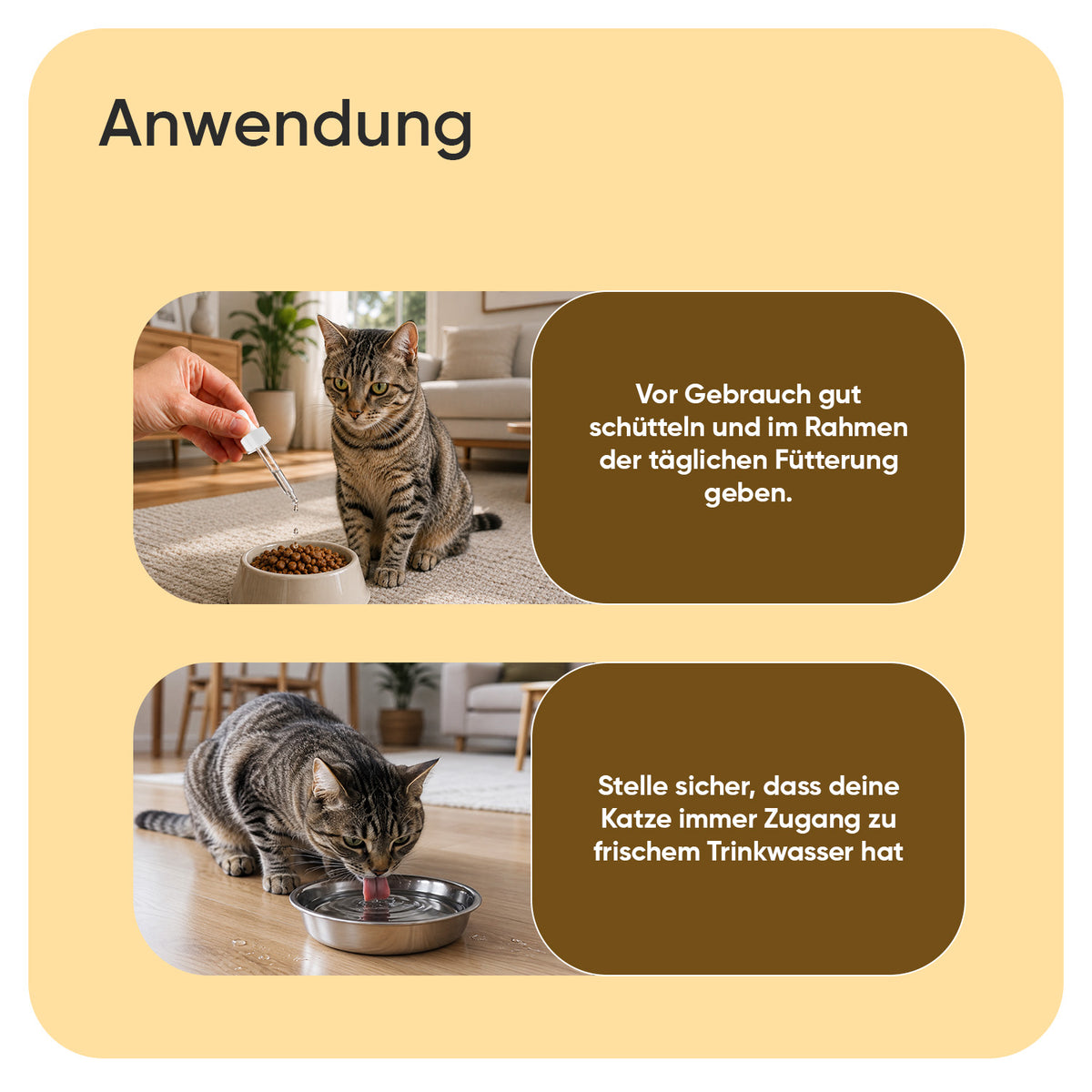 Juckreiz Linderung für Katzen 250 ml Flüssigkeit