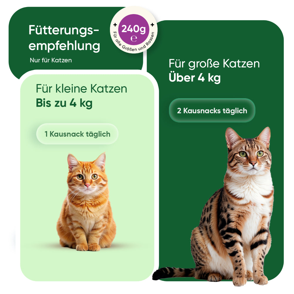 Beruhigende Kauartikel für Katzen
