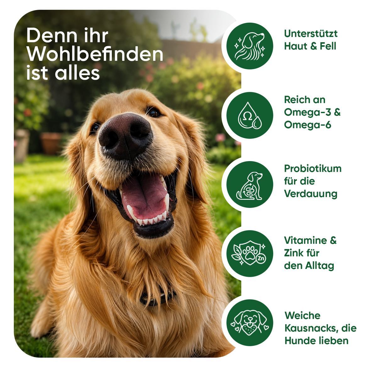 Juckreiz und Immunität für Hunde - 120 weiche Kautabletten