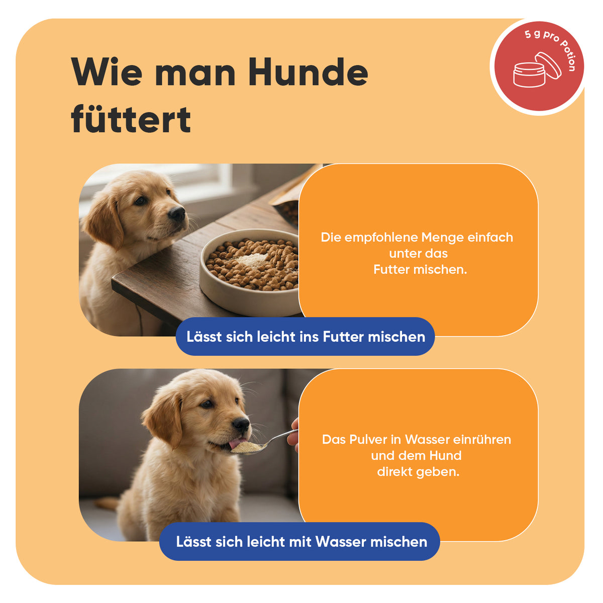 L-Lysin für Hunde, 250 g Pulver