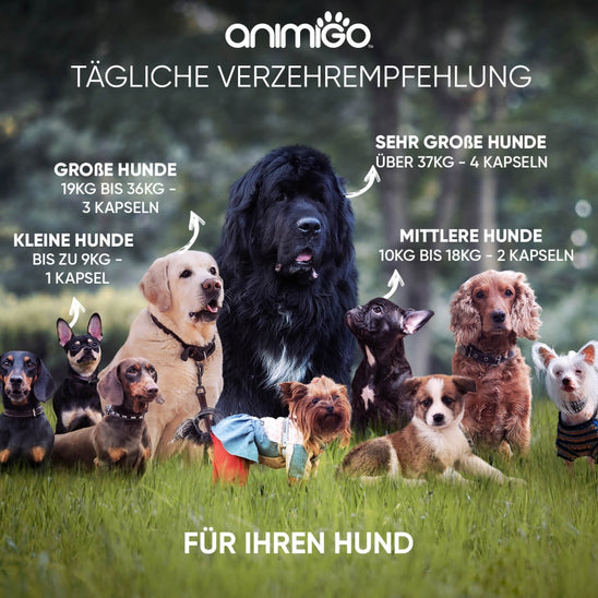 animigo-calming-aid-de-05.jpg