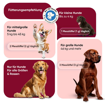 animigo-de-flea-tick-defence-powder-for-dogs-5