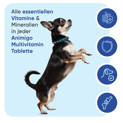 animigo-de-multivitamin-with-minerals-for-dogs-03