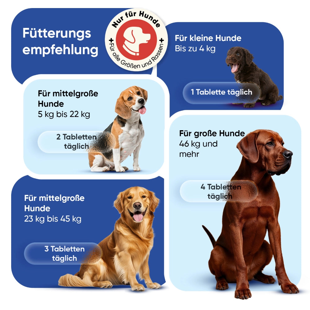 animigo-de-multivitamin-with-minerals-for-dogs-04