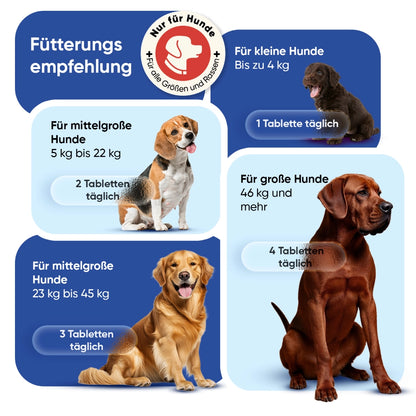 animigo-de-multivitamin-with-minerals-for-dogs-04