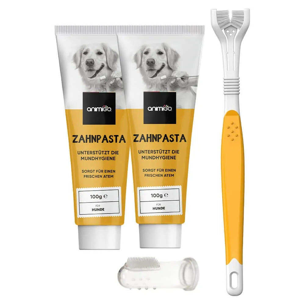 denti-care-kit-front-new-1