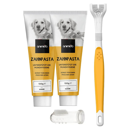 denti-care-kit-front-new-1.webp