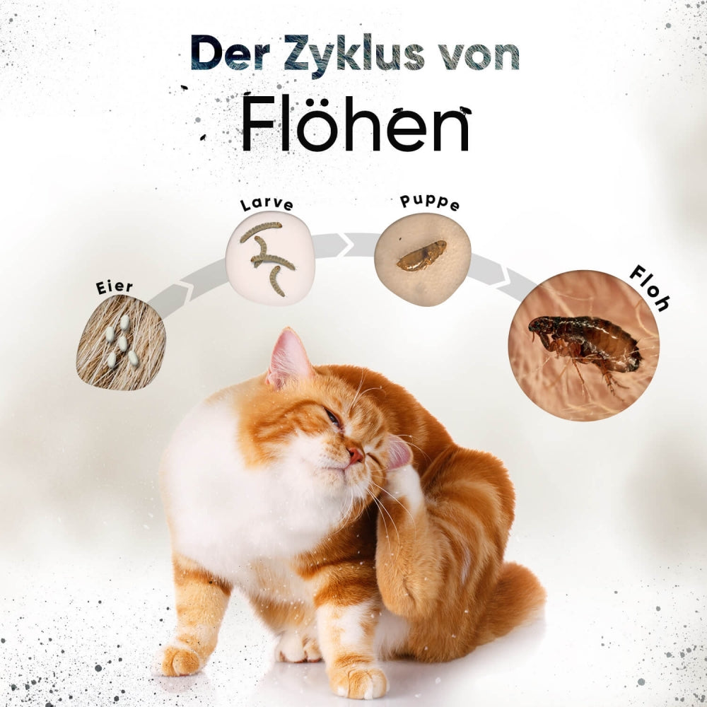 flea-tick-collar-animigo-de-4