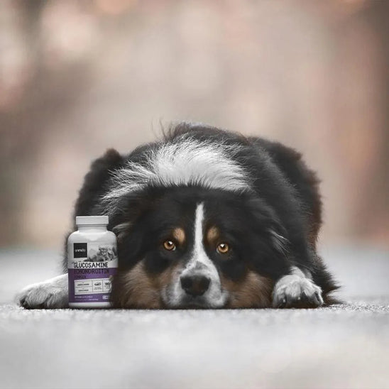 glucosamin.-ugc.webp