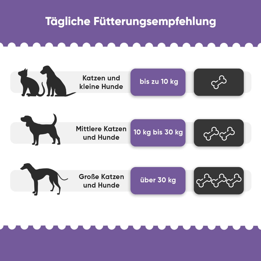 hip-and-joint-complex-ani-de-03