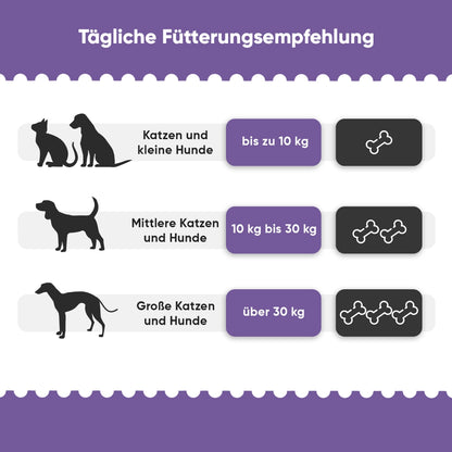 hip-and-joint-complex-ani-de-03
