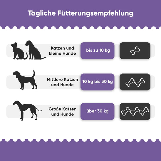 hip-and-joint-complex-ani-de-03