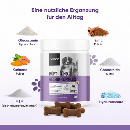 hip-and-joint-complex-ani-de-2