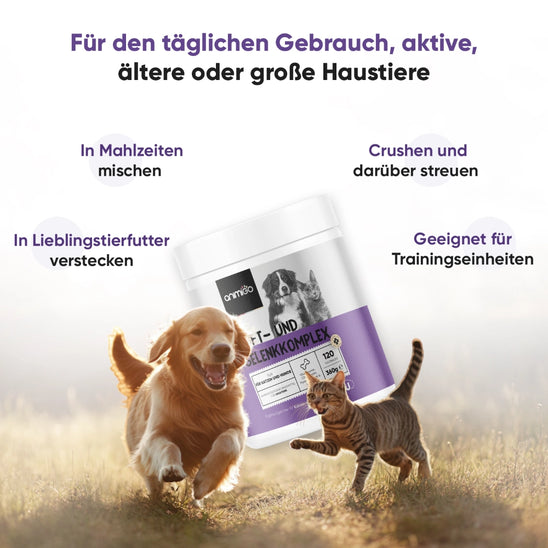 hip-and-joint-complex-ani-de-4