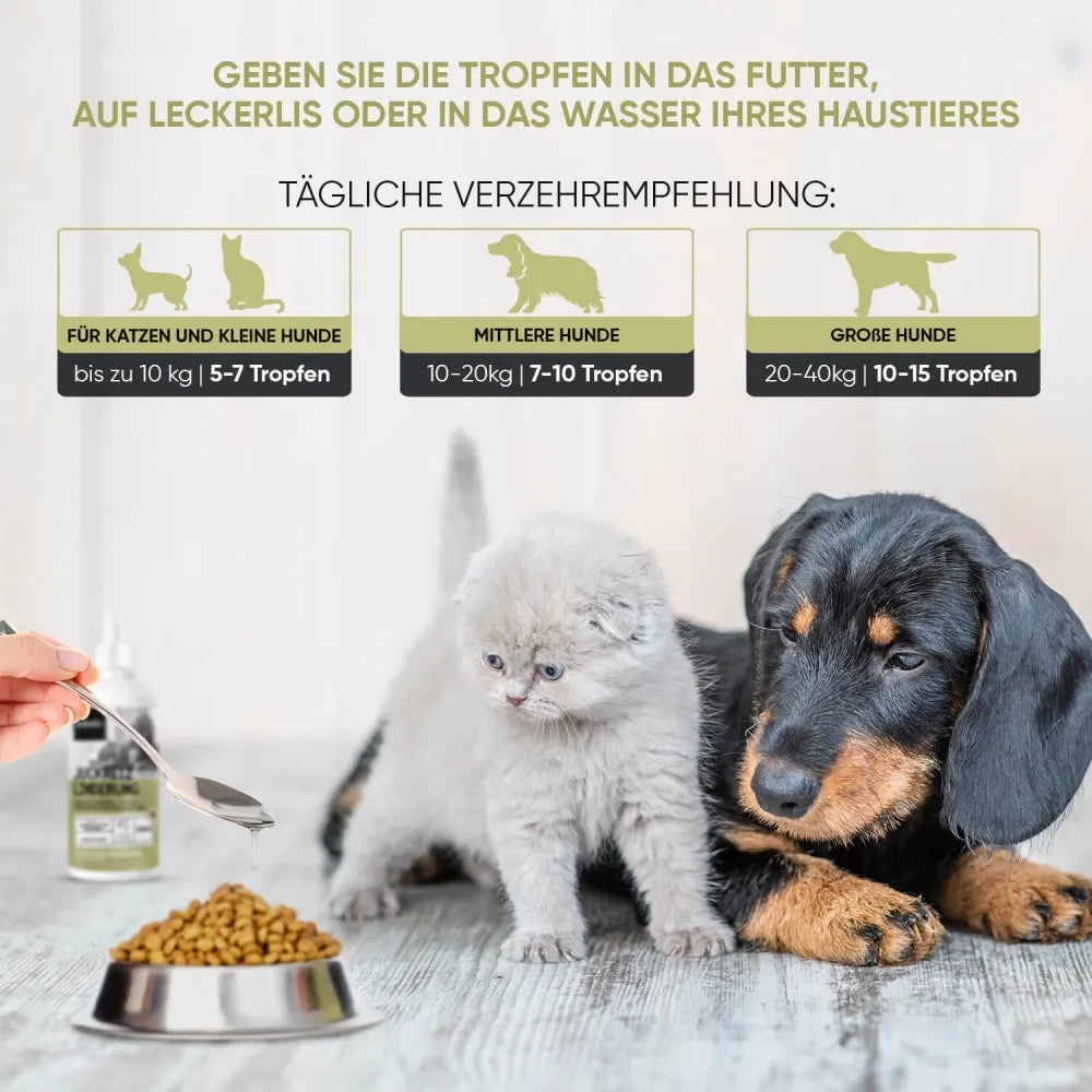 hunde juckreiz lindern tabelle