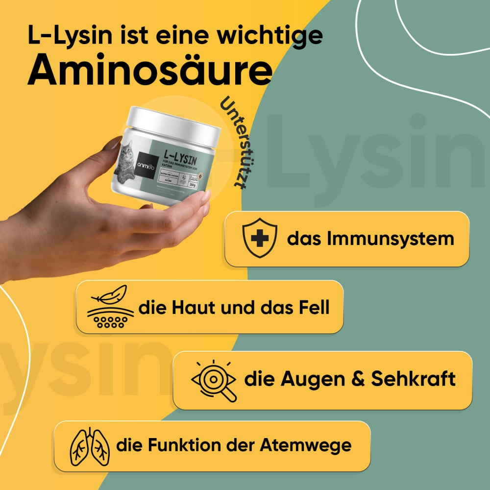 l-lysine-powder-250g-de-02
