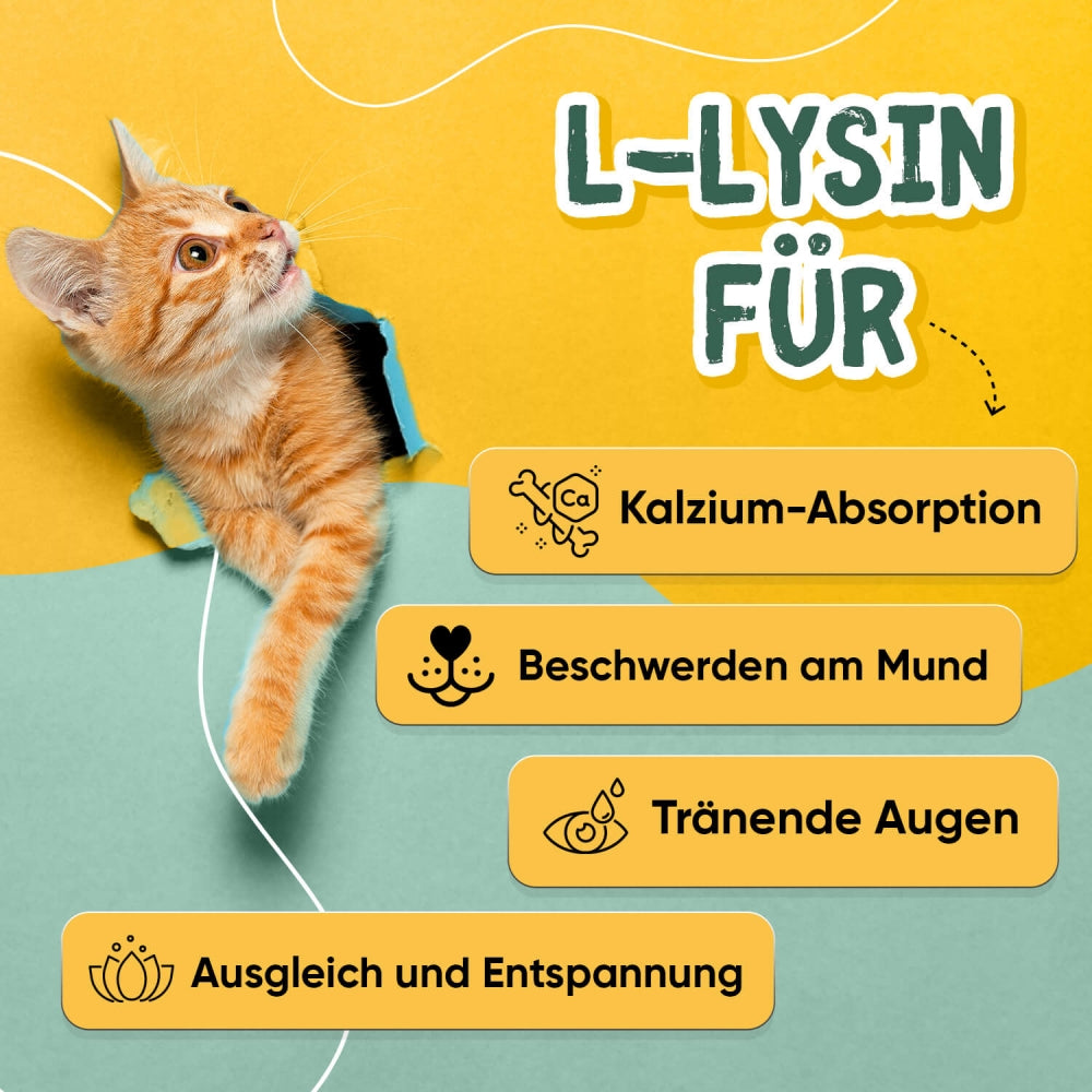 l-lysine-powder-250g-de-03