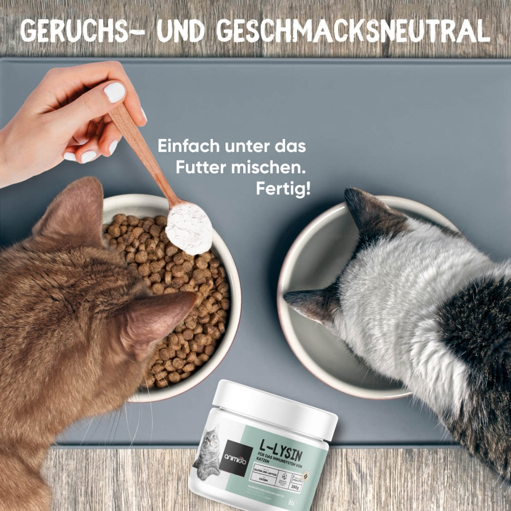l-lysine-powder-250g-de-08