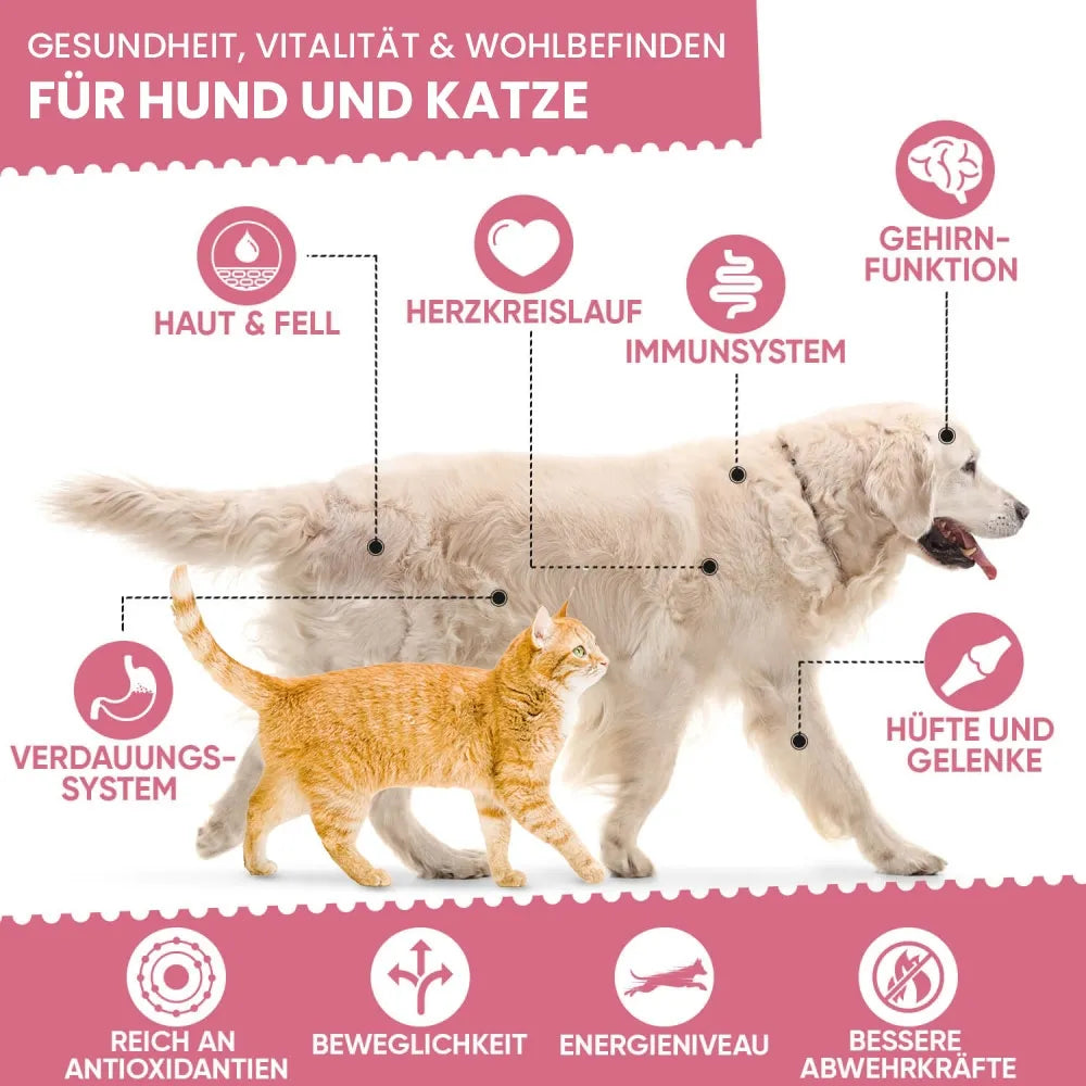multivitamins-and-minerals-for-dogs-cat-de-4.webp
