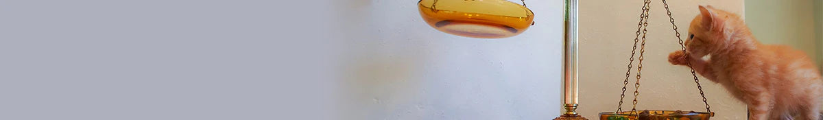 Animigo DE